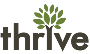 thrive internet marketing